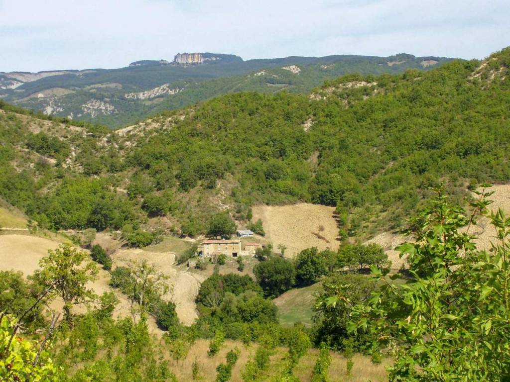 Rustico / casale a Carpegna in Località Campanelle - Foto 3
