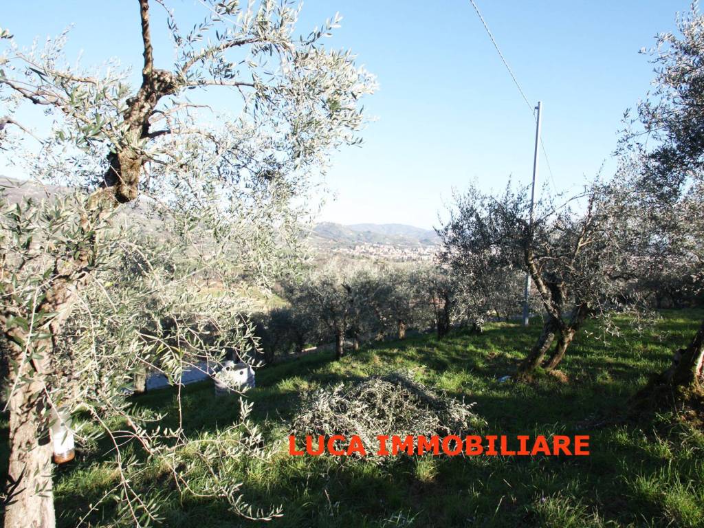 Terreno a Buggiano in Via Falciano, 38 - Foto 2
