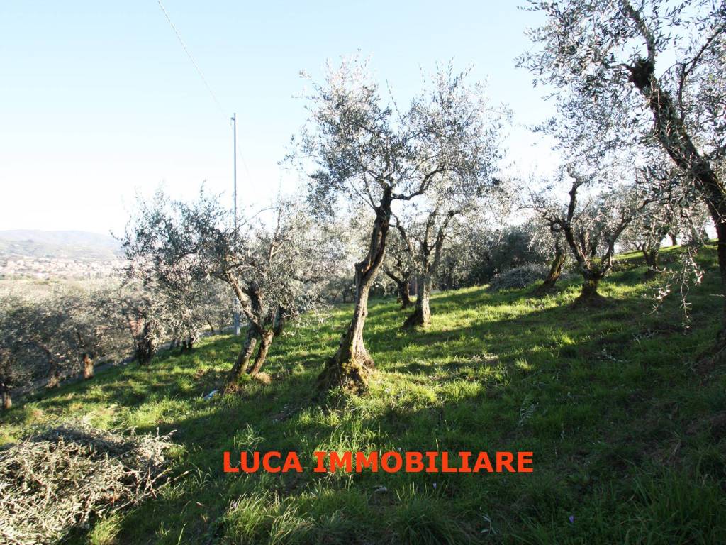 Terreno a Buggiano in Via Falciano, 38 - Foto 3
