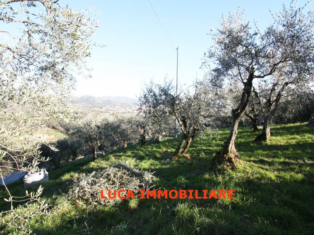 Terreno a Buggiano in Via Falciano, 38 - Foto 4