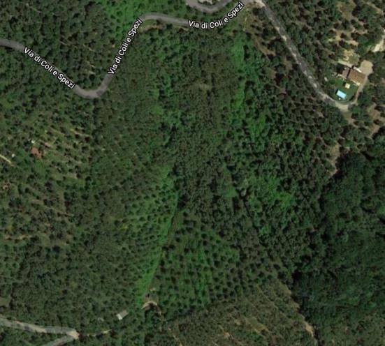 Terreno a Massarosa - Foto 2