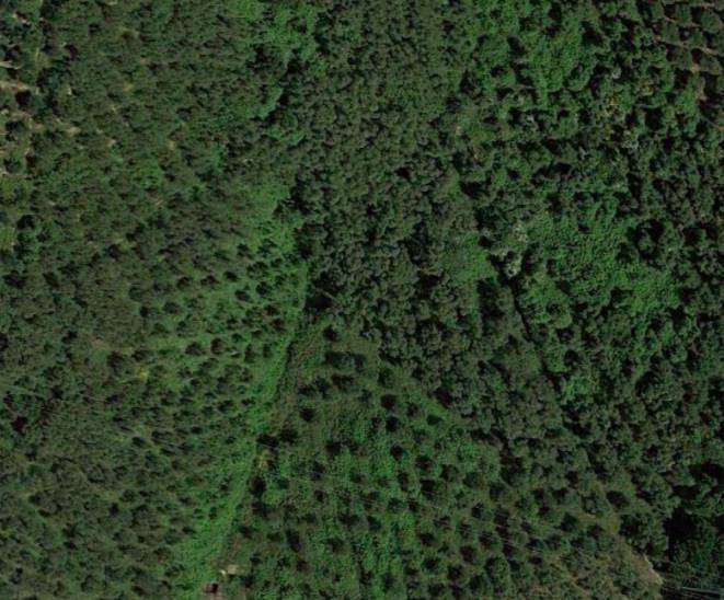 Terreno a Massarosa - Foto 3