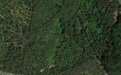 Terreno a Massarosa - Foto 4