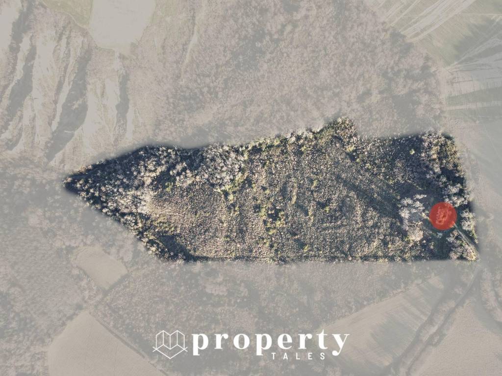 Rustico / casale a Ripatransone in Contrada Ciapelle - Foto 3