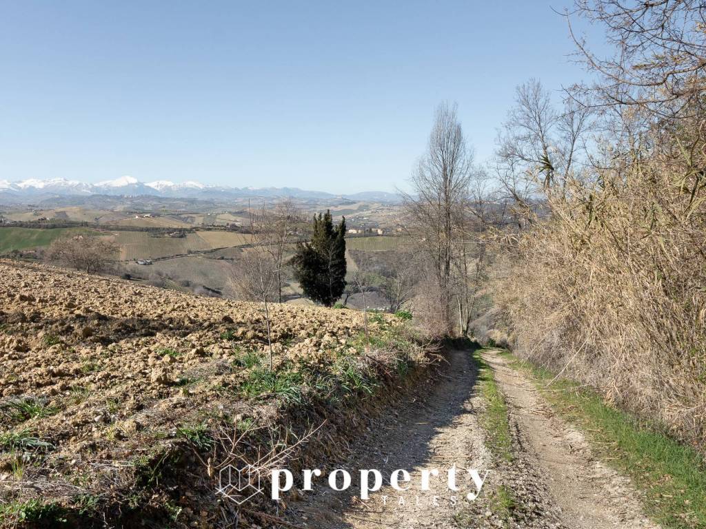 Rustico / casale a Ripatransone in Contrada Ciapelle - Foto 5