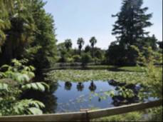 Palazzo / stabile a Muzzano in Via Ingegner Bertola, 5 - Foto 4