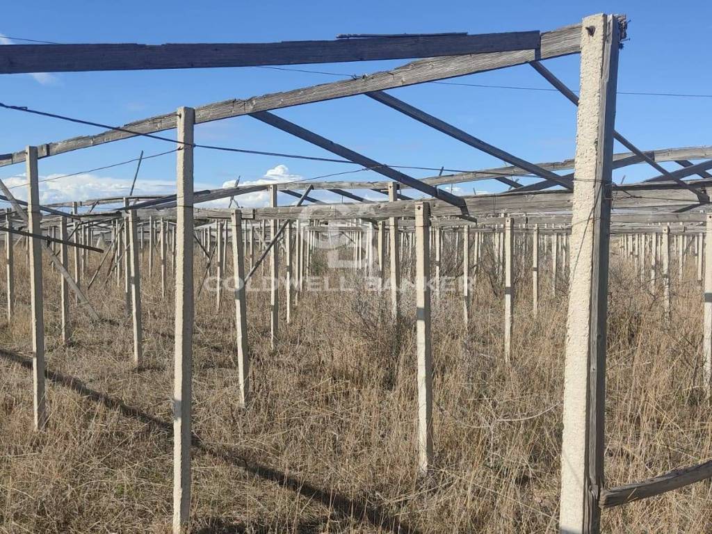 Terreno a Santa croce camerina in contrada sughero - Foto 5