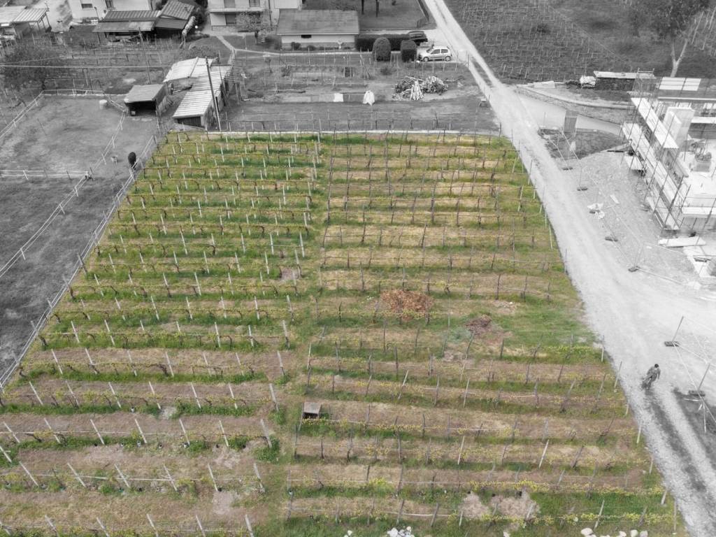 Terreno a Albosaggia - Foto 2