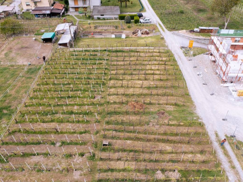 Terreno a Albosaggia - Foto 3