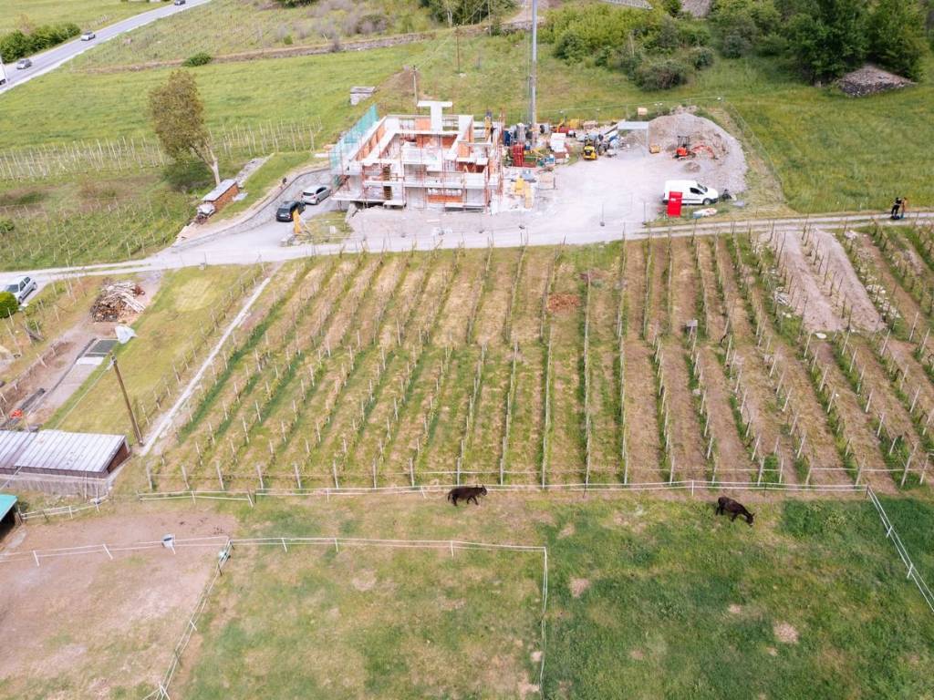 Terreno a Albosaggia - Foto 4