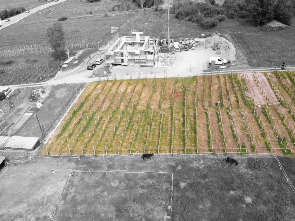 Terreno a Albosaggia - Foto 5