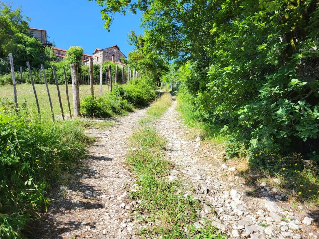 Immobile a Chiusi della verna - Foto 2