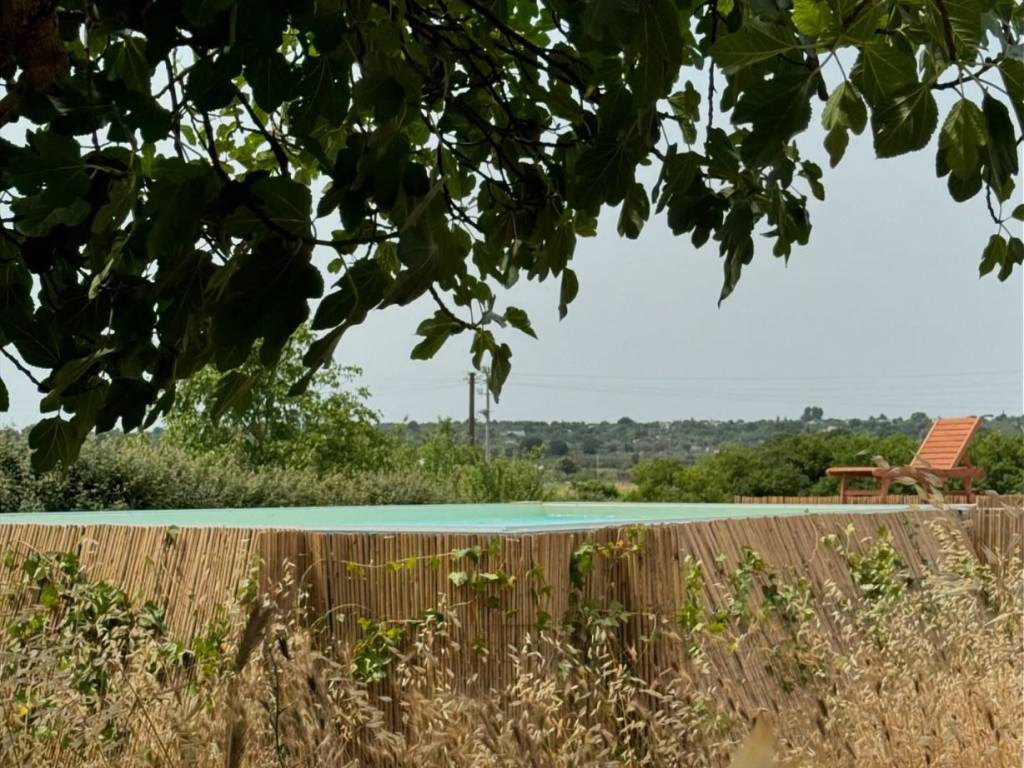 Villa a Ceglie messapica - Foto 5