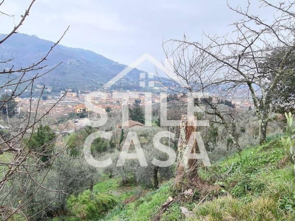Rustico / casale a Pescia - Foto 3