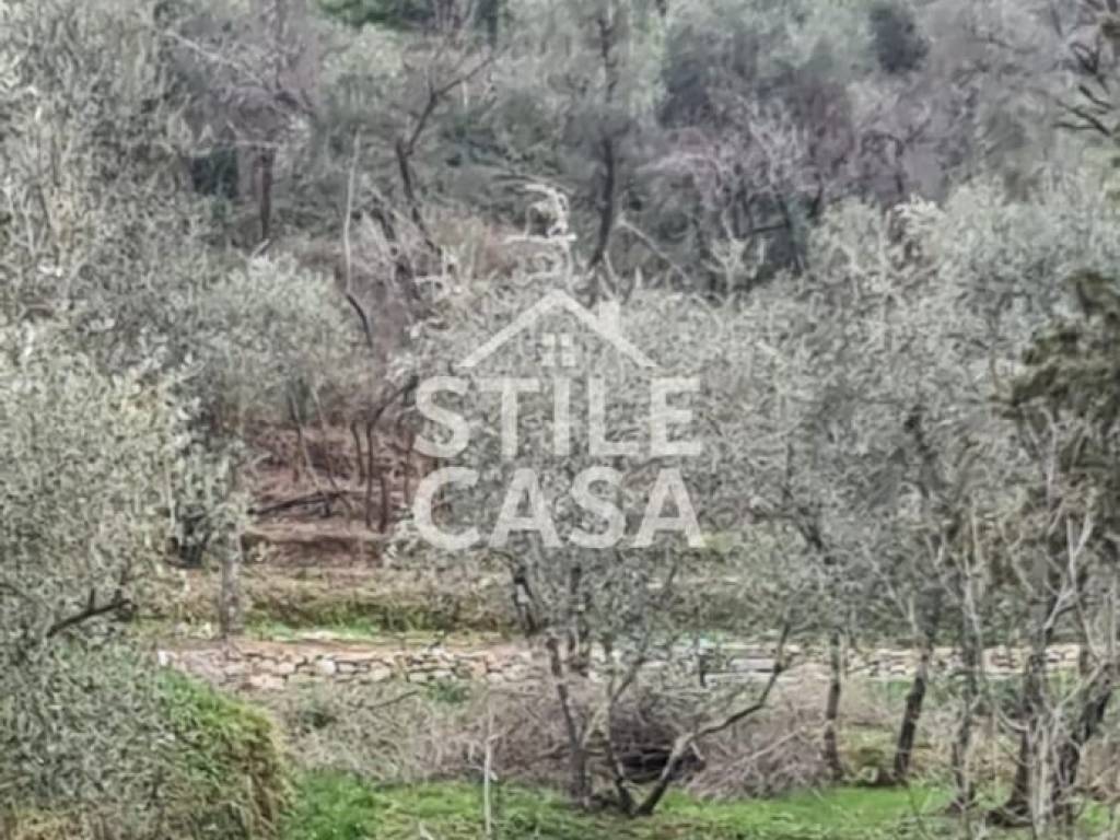 Rustico / casale a Pescia - Foto 5