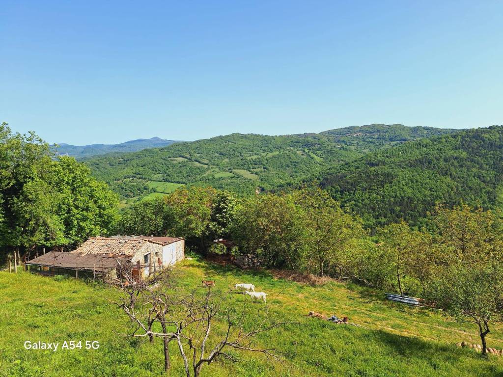 Rustico / casale a Semproniano in Via del Roccone - Foto 3