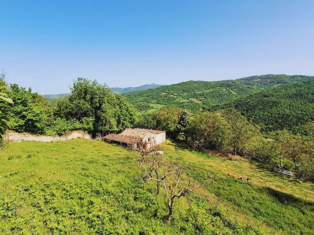 Rustico / casale a Semproniano in Via del Roccone - Foto 4