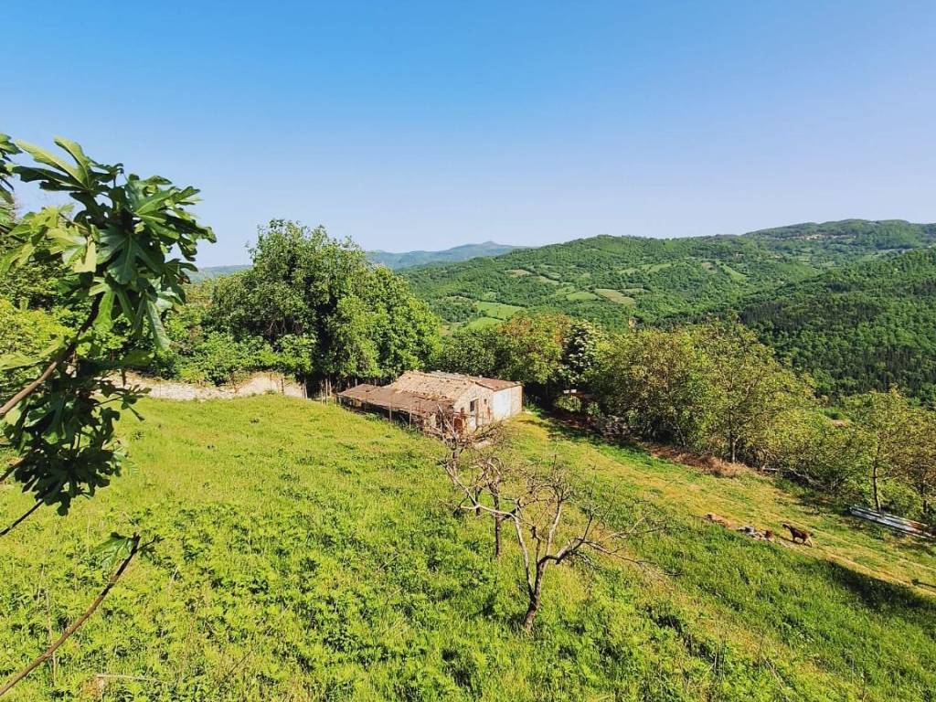 Rustico / casale a Semproniano in Via del Roccone - Foto 5