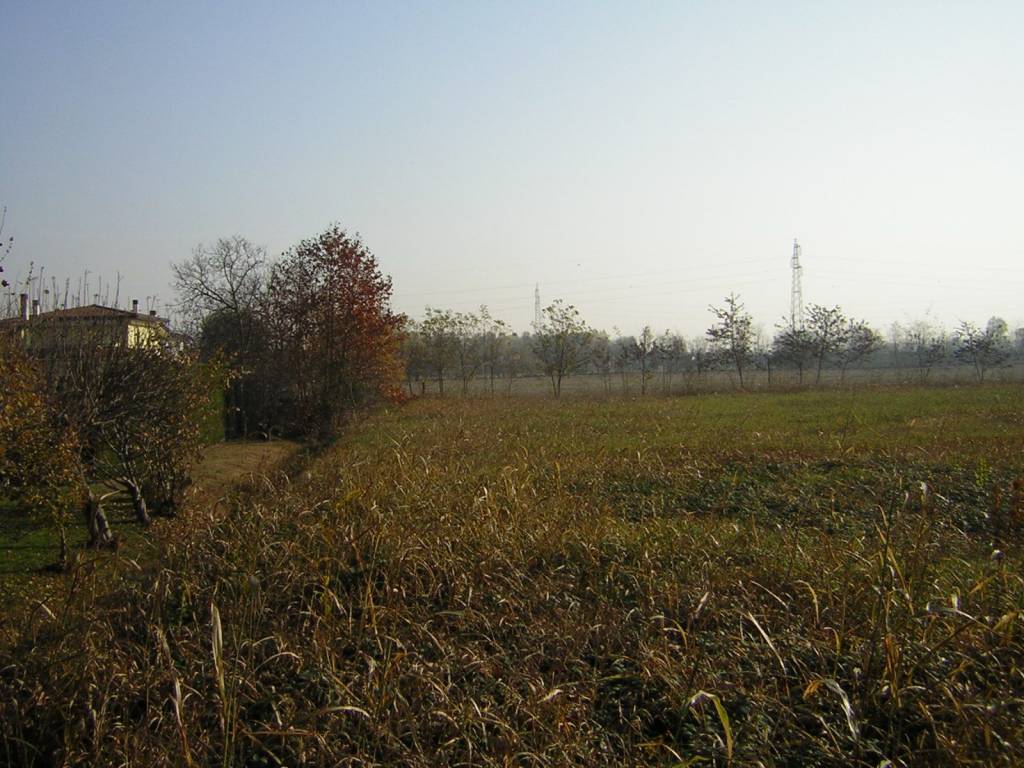 Terreno a Noventa padovana - Foto 4