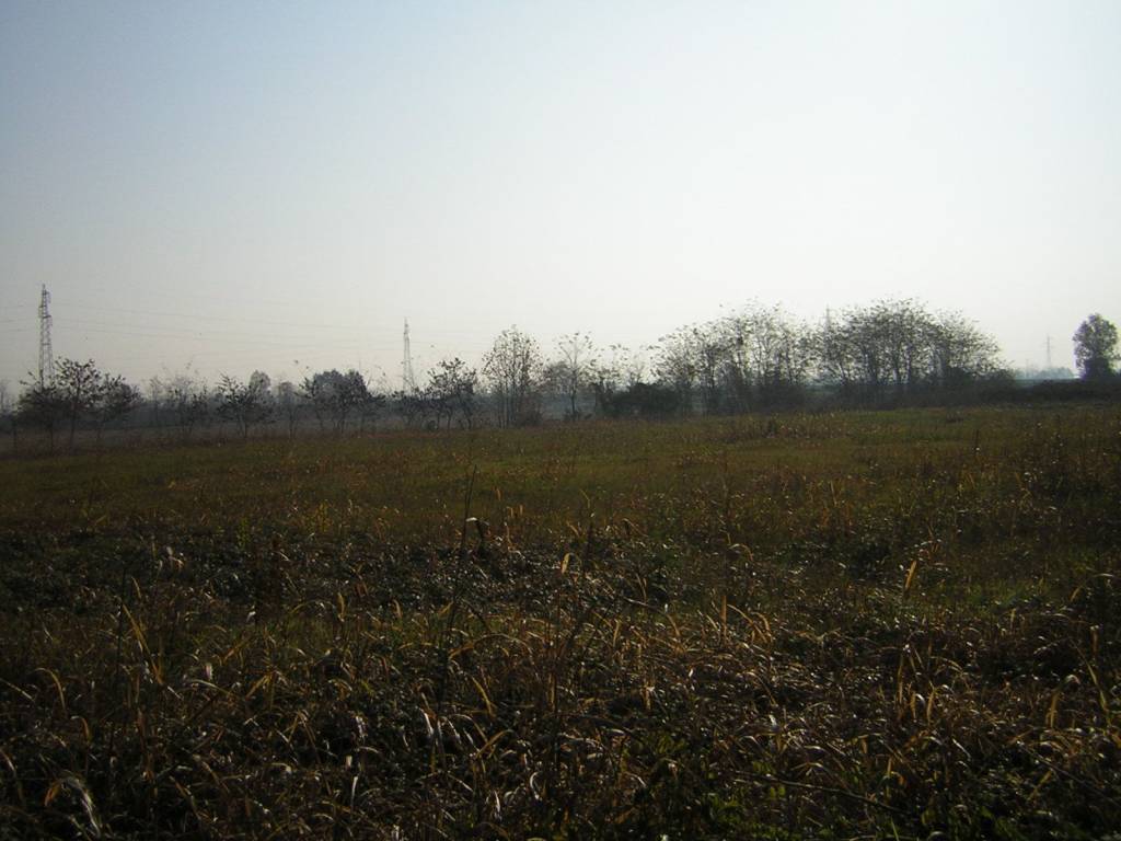 Terreno a Noventa padovana - Foto 5