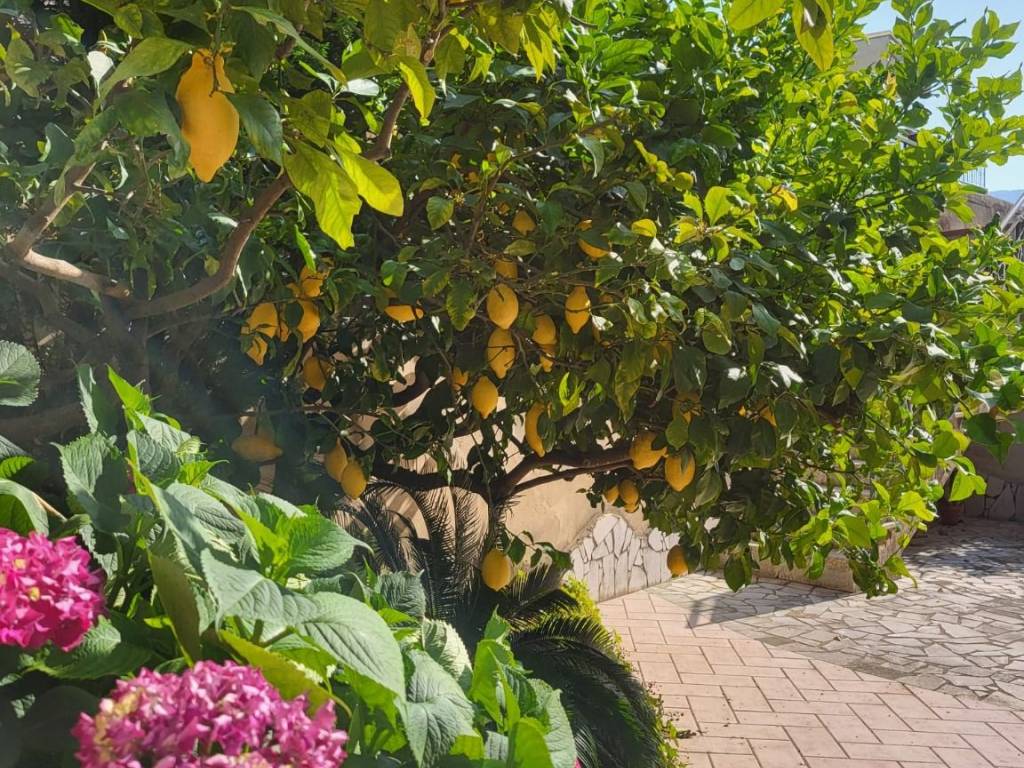 Appartamento a Pellezzano in Via Martin Luther King, 10 - Foto 5
