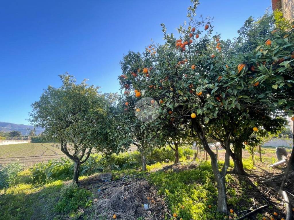Terreno a Scafati in Via Fosso dei Bagni - Foto 2