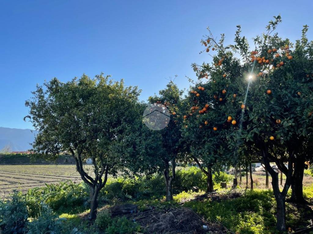 Terreno a Scafati in Via Fosso dei Bagni - Foto 3