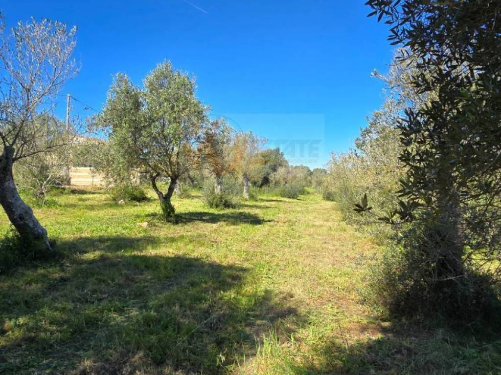 Terreno a Sassari in la crucca, 181 - Foto 3