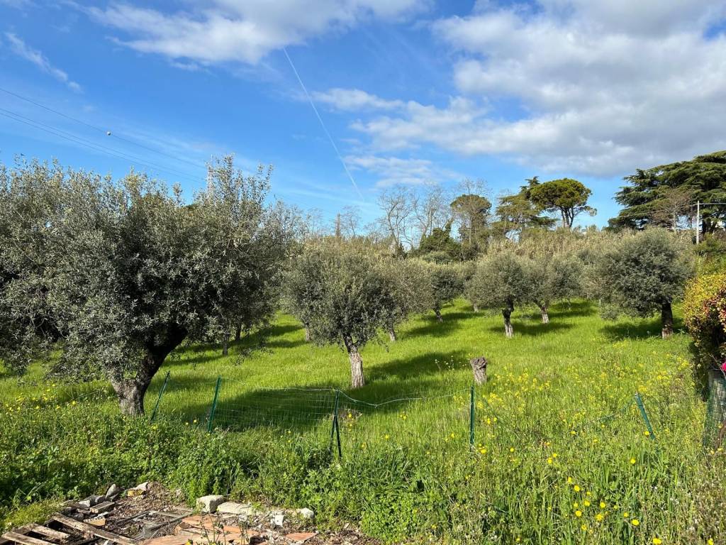 Terreno a Pescara in Strada Casone, 61 - Foto 2