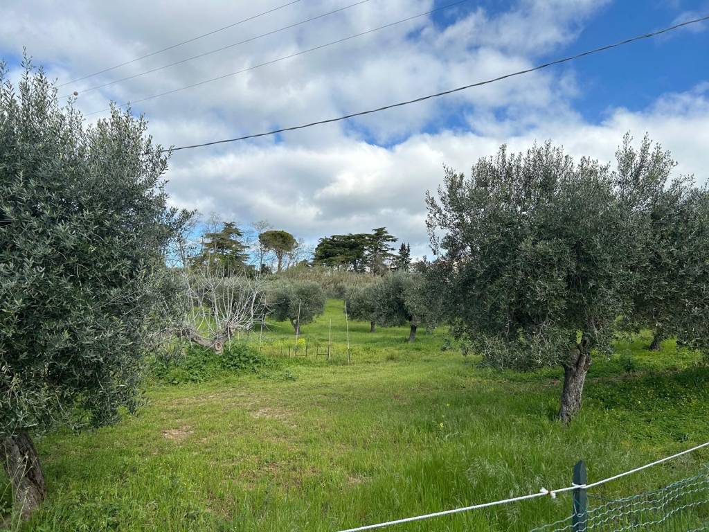 Terreno a Pescara in Strada Casone, 61 - Foto 3