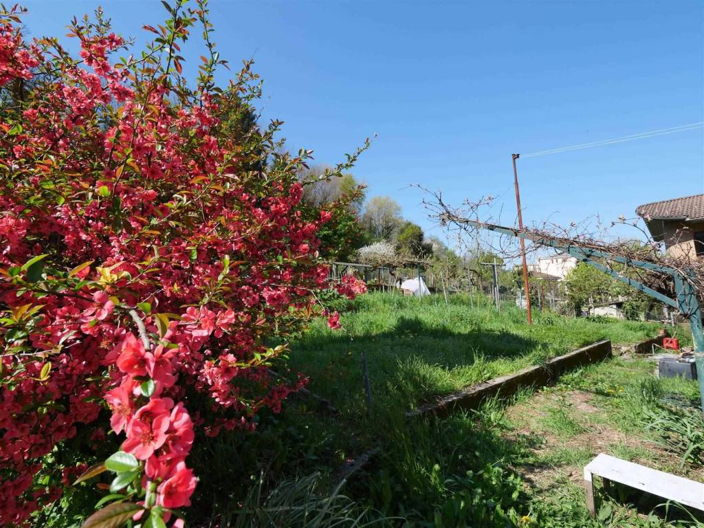 Villa a Novi ligure in Via Raggio - Foto 4