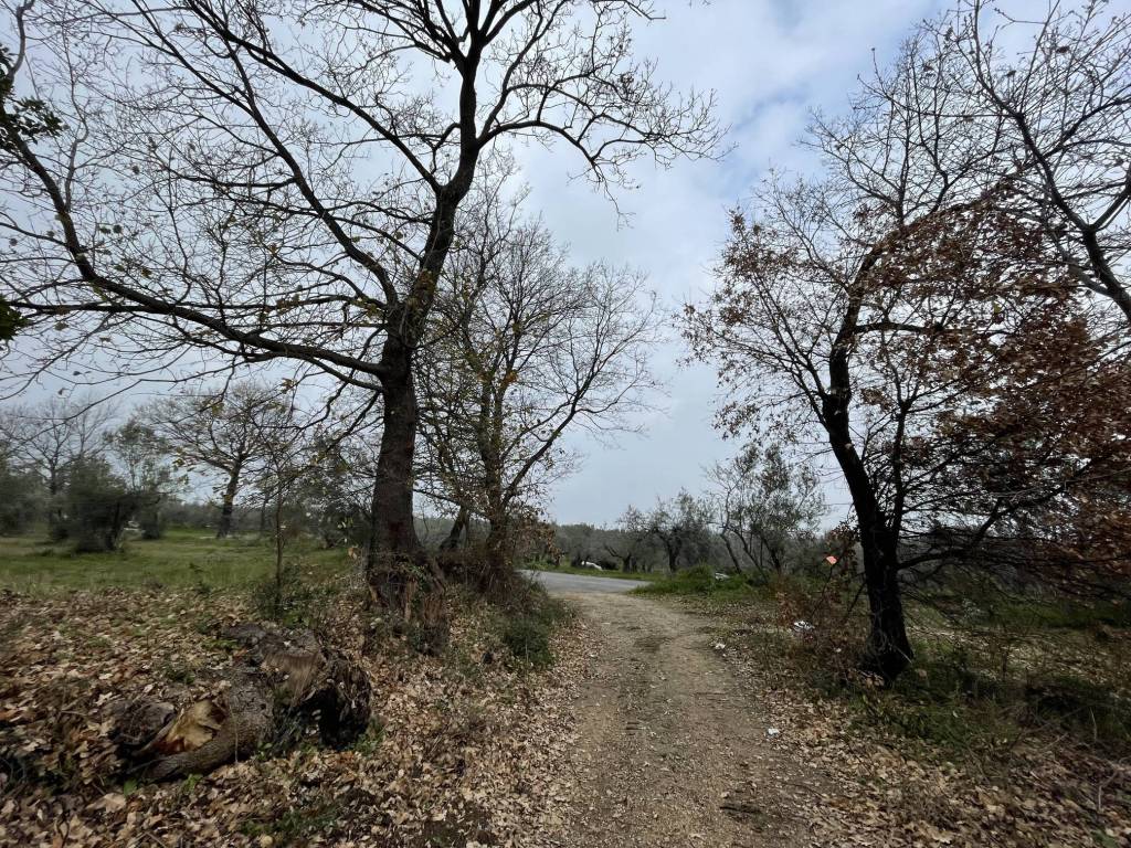 Terreno a Paglieta in Contrada San Nicola, 4 - Foto 3