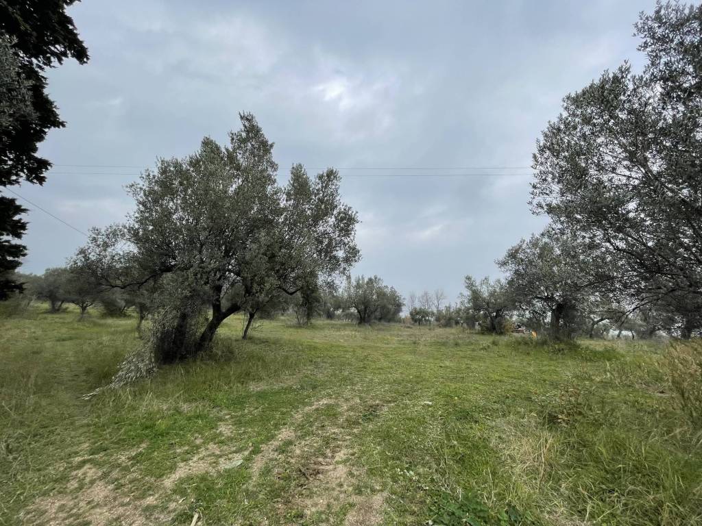 Terreno a Paglieta in Contrada San Nicola, 4 - Foto 4