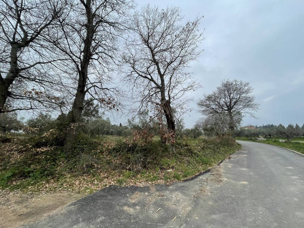 Terreno a Paglieta in Contrada San Nicola, 4 - Foto 5