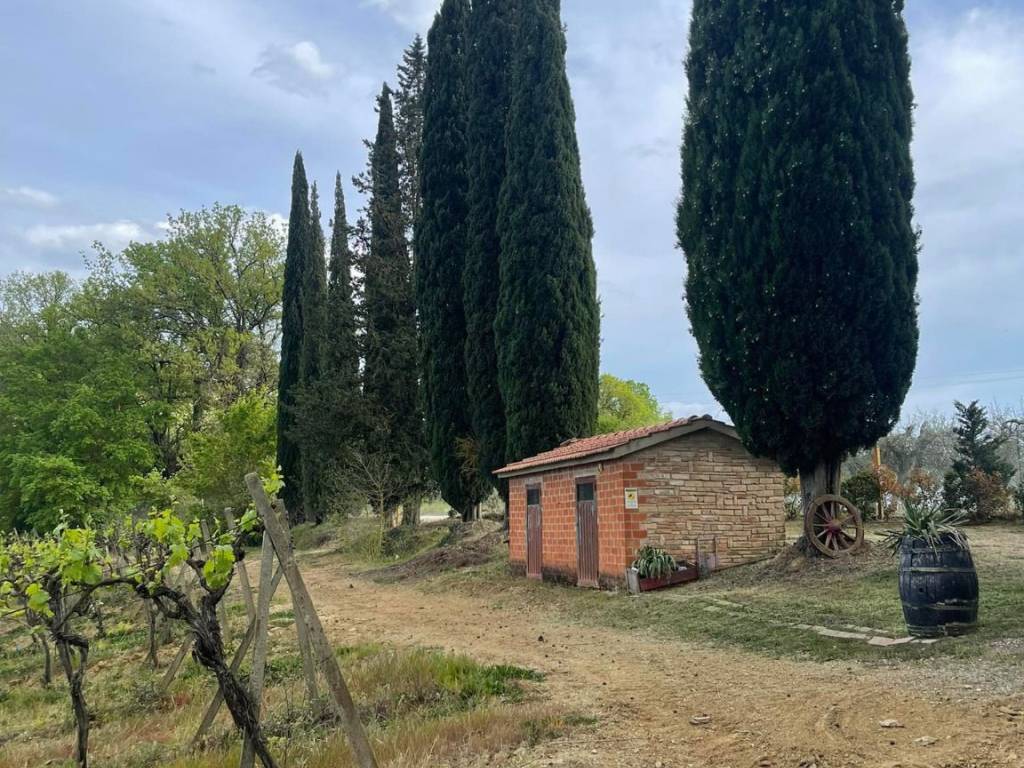 Villa a San gimignano - Foto 2