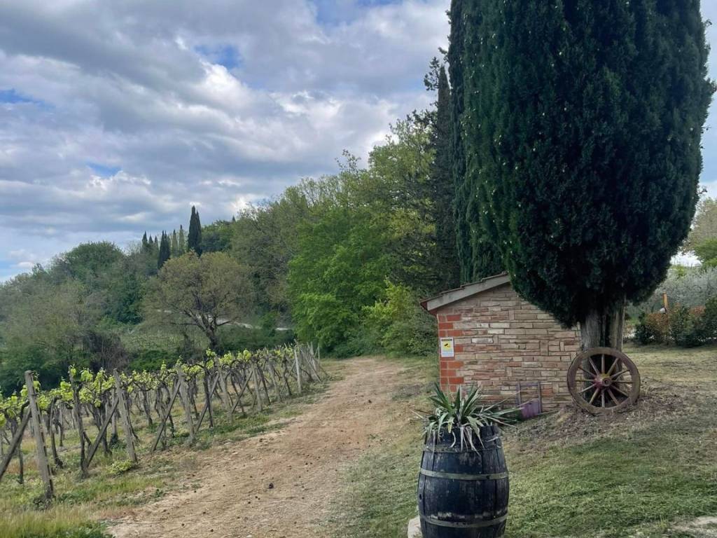 Villa a San gimignano - Foto 3