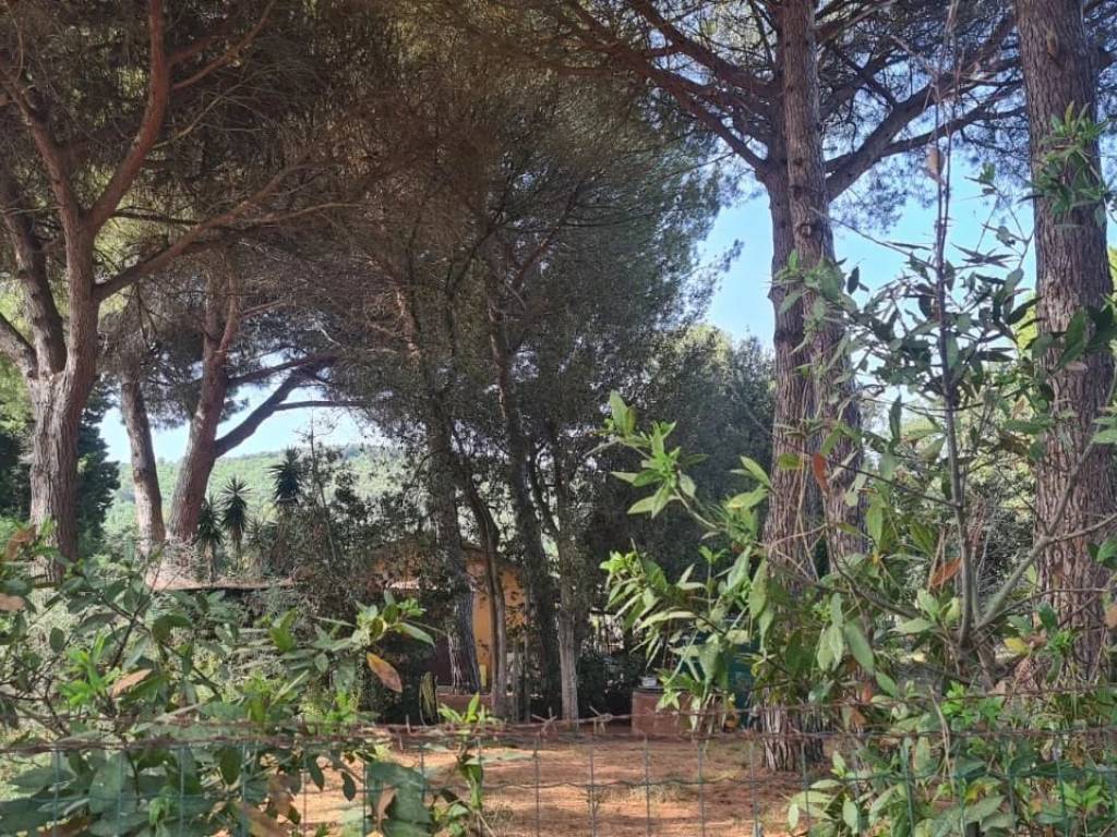 Terreno a Piombino - Foto 3