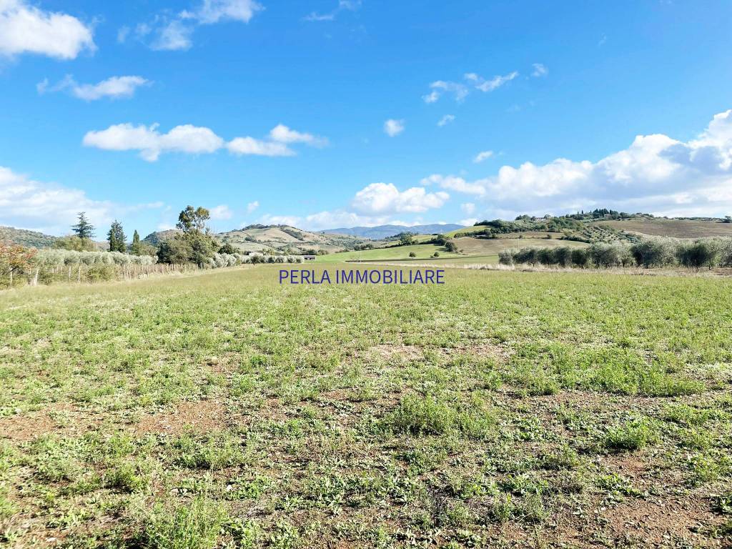 Rustico / casale a Cinigiano in Località Piantaverna - Foto 3