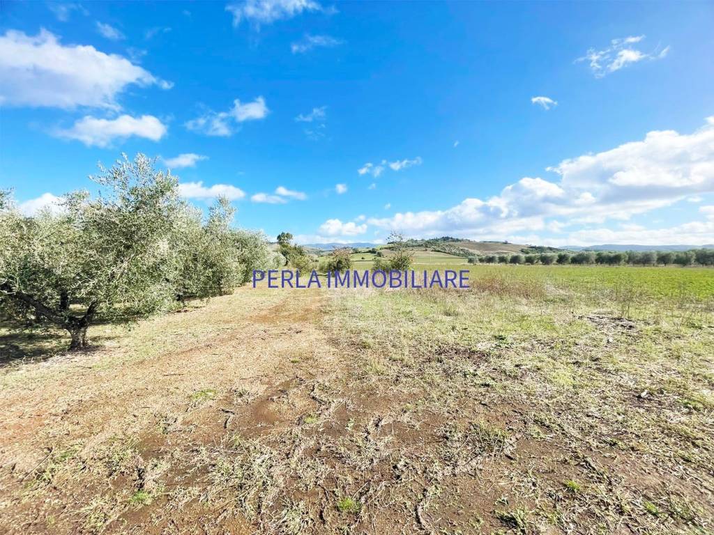 Rustico / casale a Cinigiano in Località Piantaverna - Foto 4