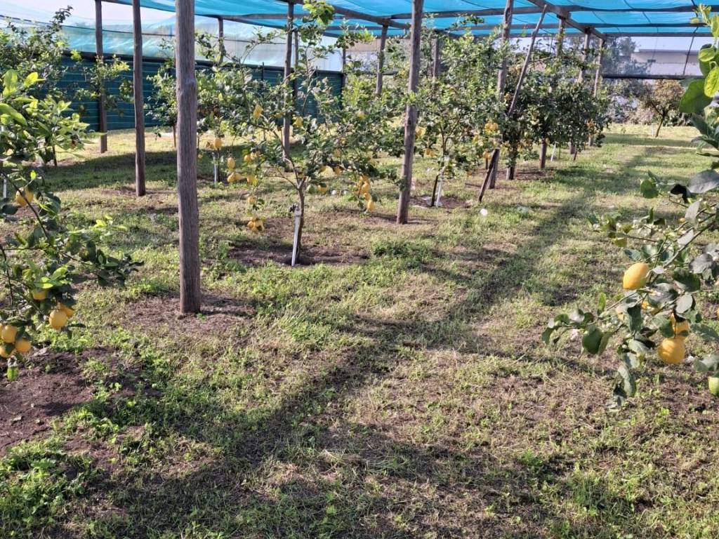 Terreno a Scafati in Via Giovanni Bernardo Casciello - Foto 4