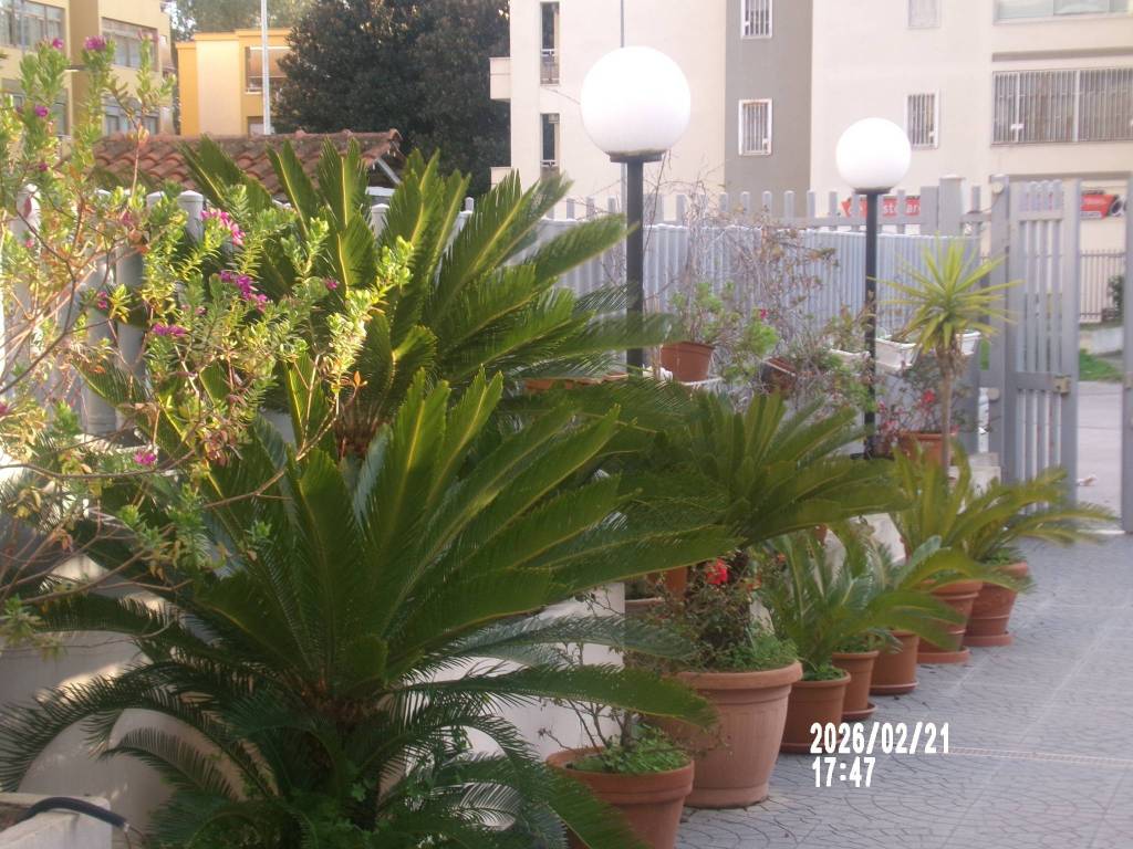 Immobile a Aversa in Viale John Fitzgerald Kennedy - Foto 5
