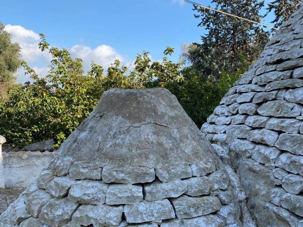 Rustico / casale a Ceglie messapica in contrada Natalicchio - Foto 5