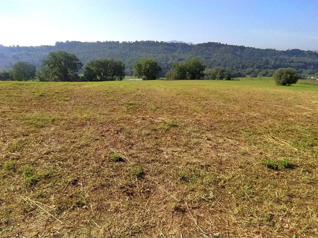 Terreno a Collevecchio in Via Colli - Foto 5