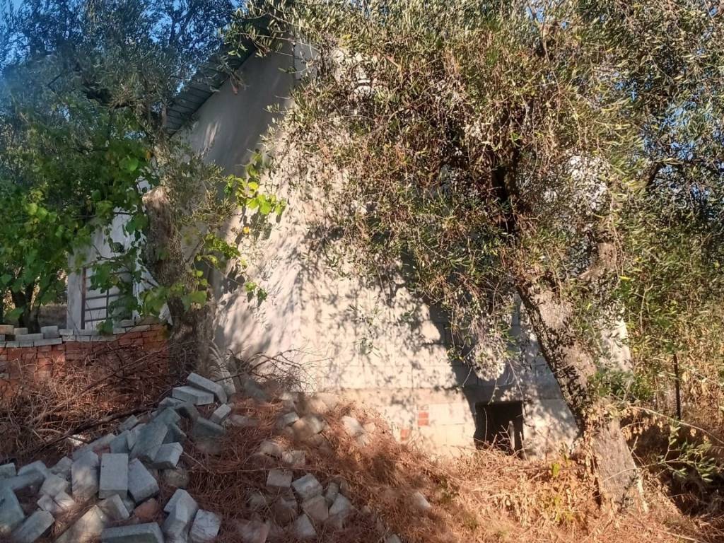 Rustico / casale a Buggiano in Via Cessana - Foto 2