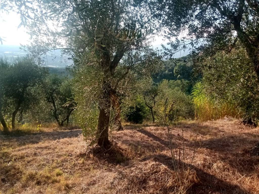 Rustico / casale a Buggiano in Via Cessana - Foto 5