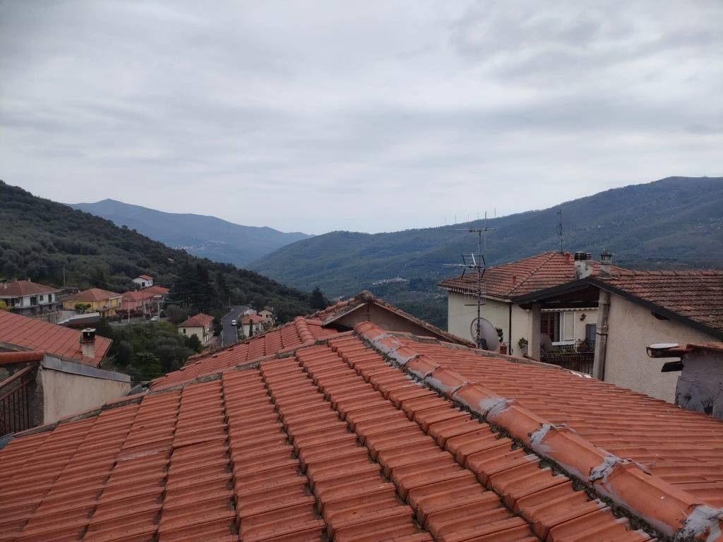 Appartamento a Aurigo - Foto 3