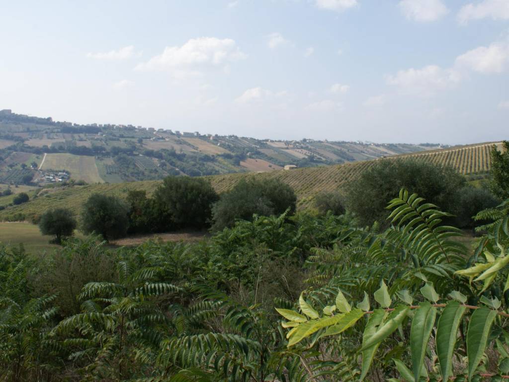 Rustico / casale a Monteprandone in Contrada Solagna Ragnola, 13 - Foto 2