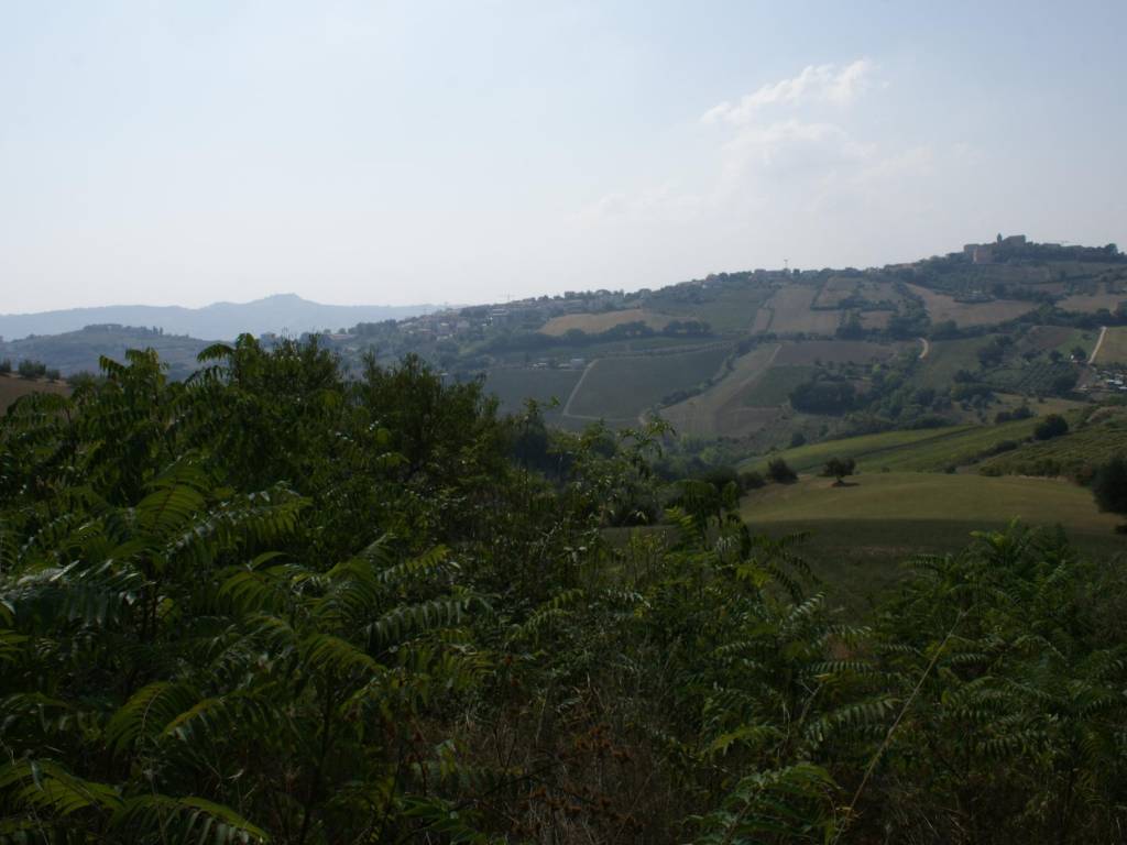Rustico / casale a Monteprandone in Contrada Solagna Ragnola, 13 - Foto 3