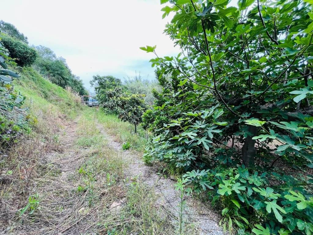 Terreno a Campofelice di roccella in Contrada Stretto - Foto 3