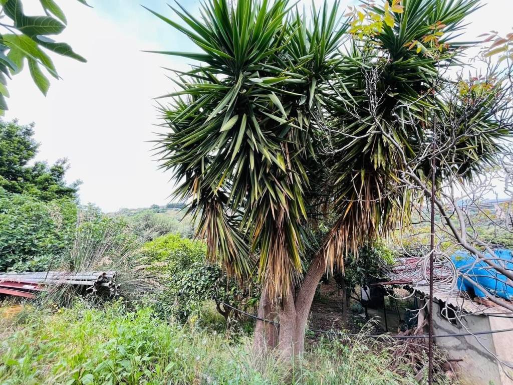 Terreno a Campofelice di roccella in Contrada Stretto - Foto 4